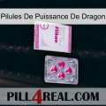 Dragon Power Pills 32